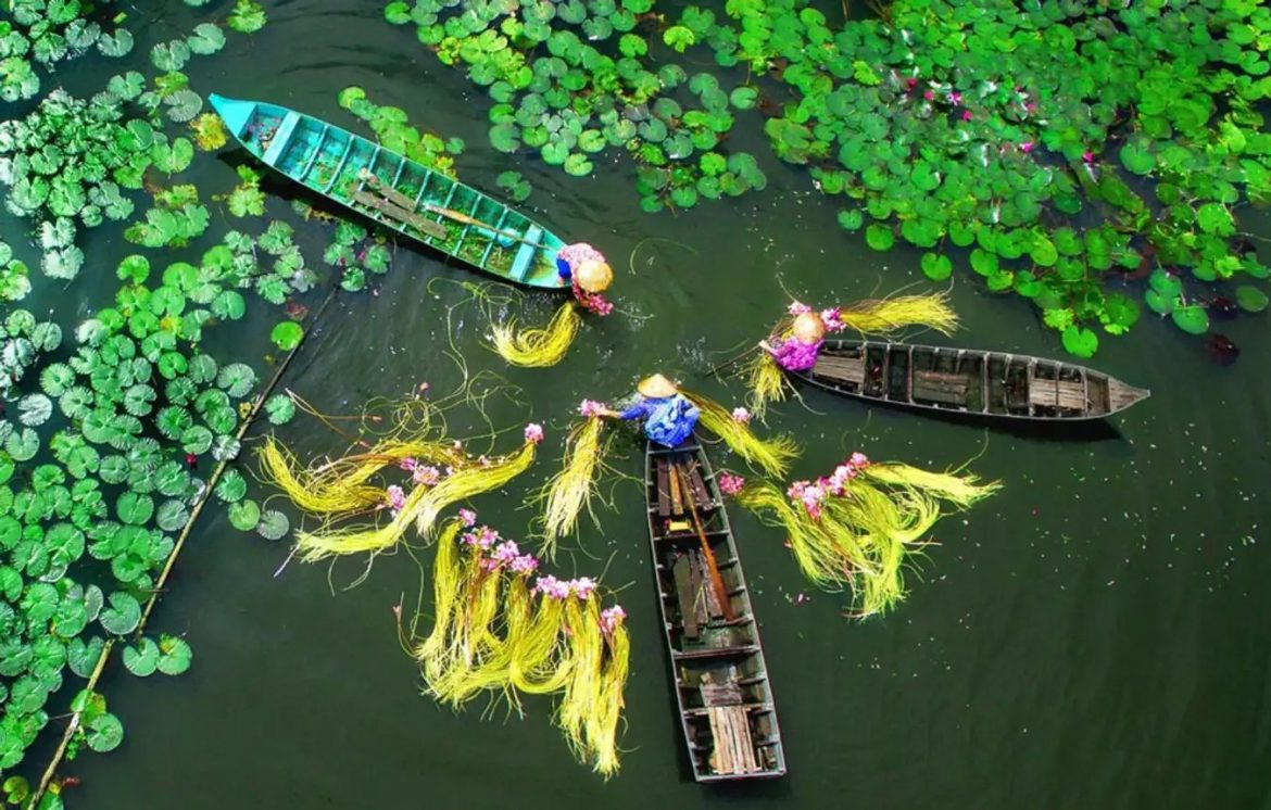 Mekong Delta