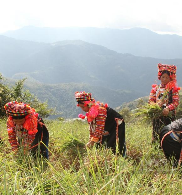 Cycling Vietnam's Northwest mountains, explore Muong Te